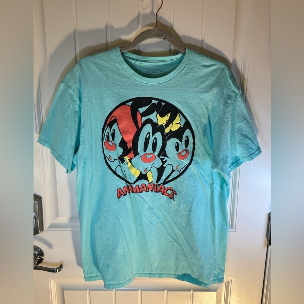 Animaniacs Light Green Large Tee 90s